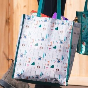 Norwex Large Gift Tote Bag With Baclock